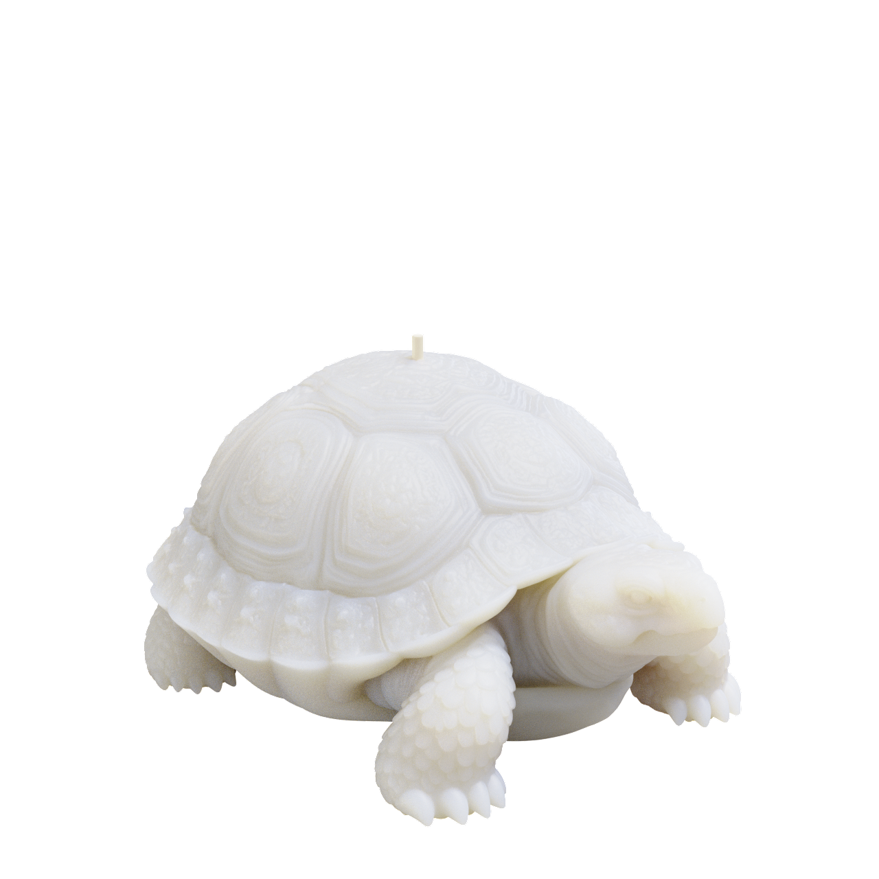 Tortise Candle (500 grams) 8cm Tall