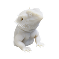 Bearded Dragon Candle (500 grams) 14cm