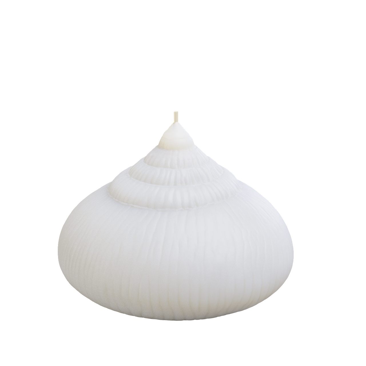 Sundial Shell Candle (300 grams) 8cm Tall