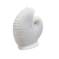 Agronaut (Octopus) Shell Candle (340 grams) 14cm