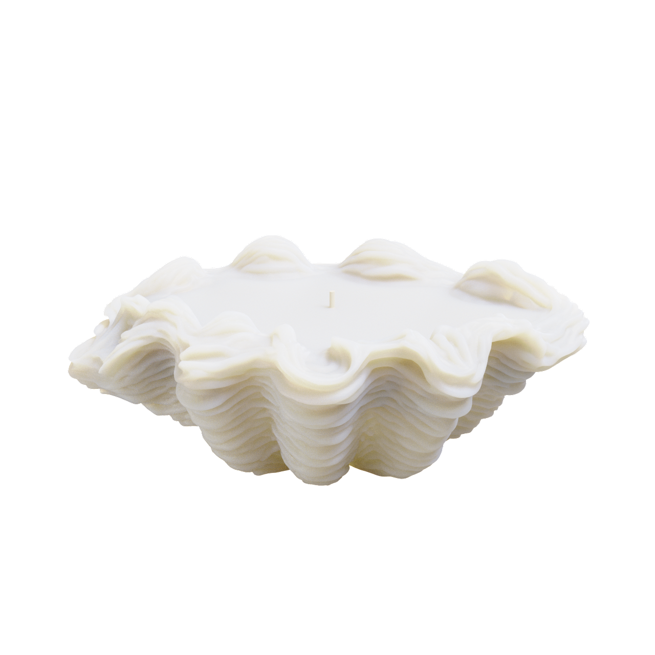 Oyster Shell Candle (430 grams) 8cm Tall