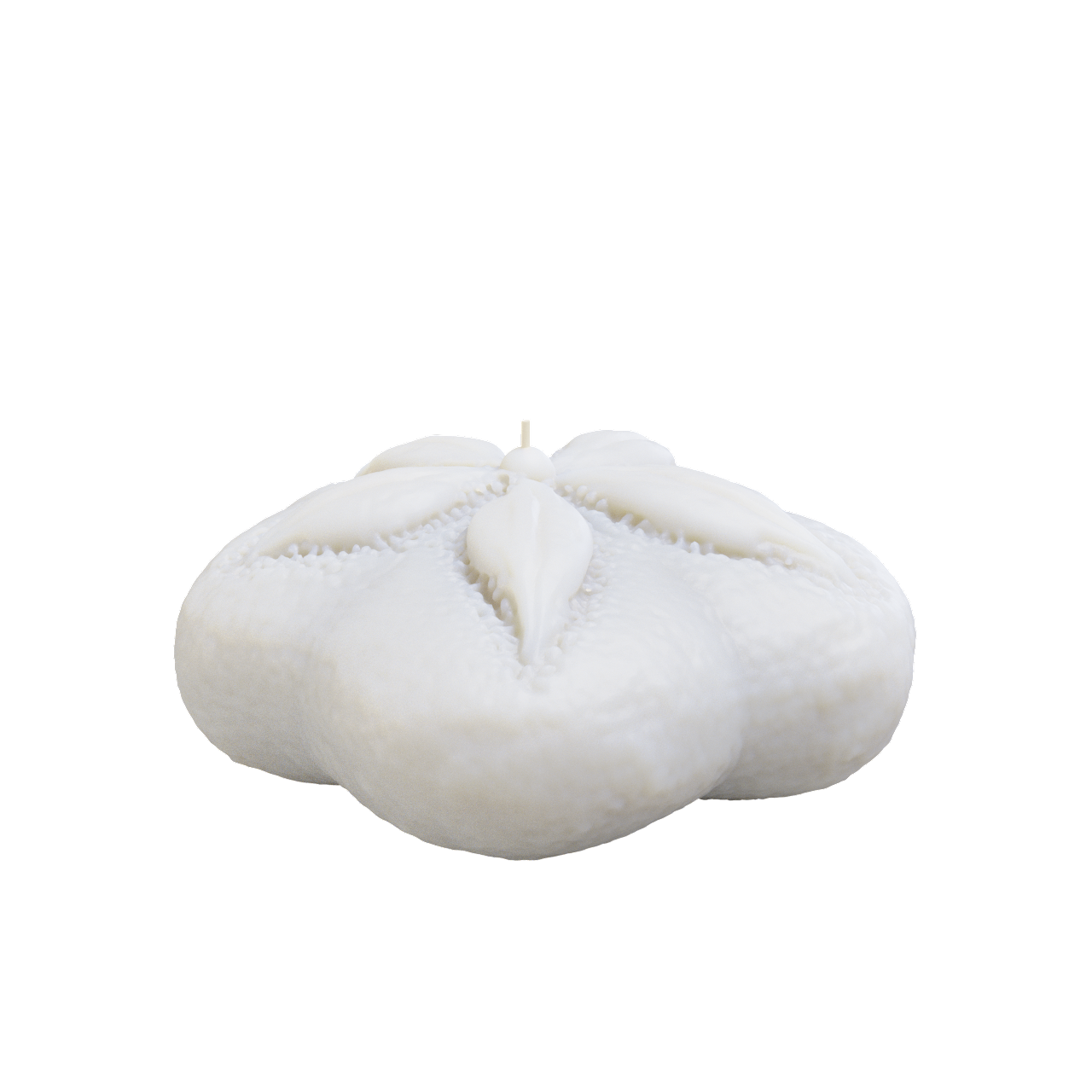 Pansey Shell Candle (750 grams) 8cm Tall