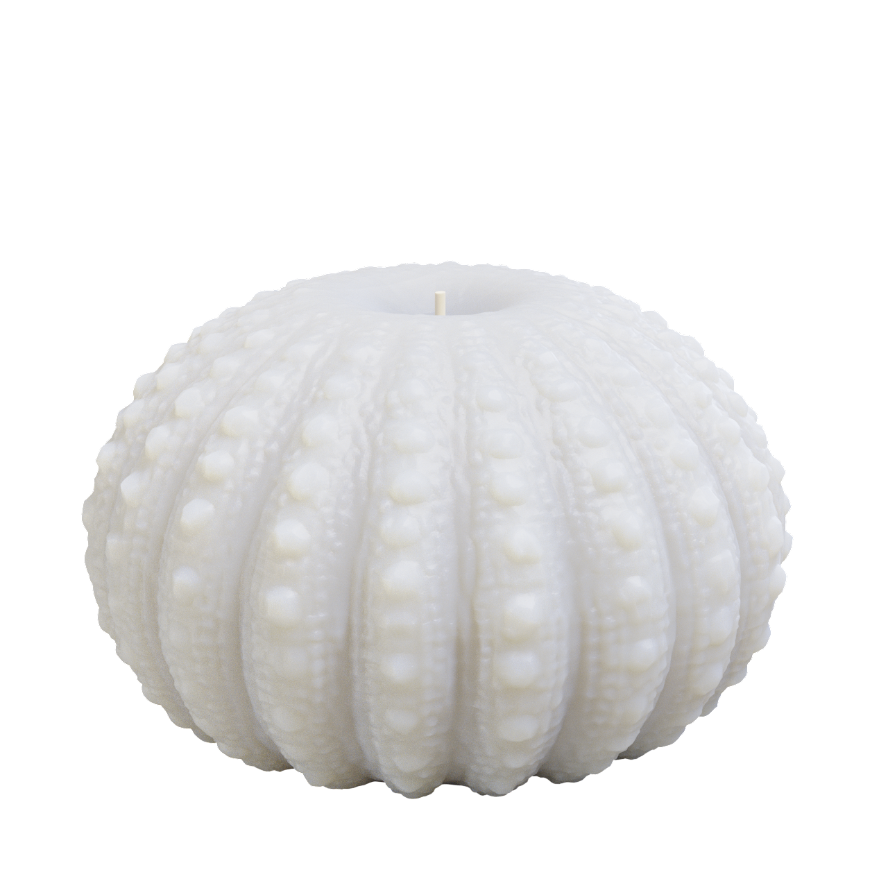 Pumpkin Shell Candle (650 grams) 8cm Tall
